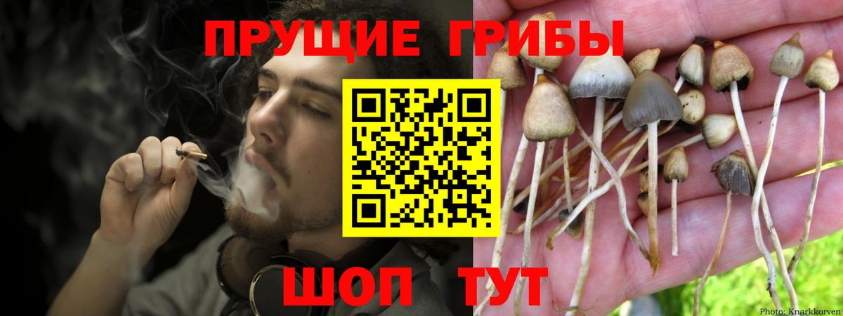 Галлюциногенные грибы ЛСД  Вход с VPN  Оренбург 
